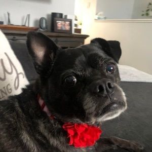 Meet your Posher, Lorie